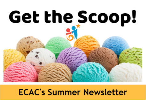 Summer Newsletter (1)