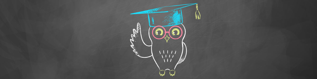 chalk sketch of owl on chalkboard