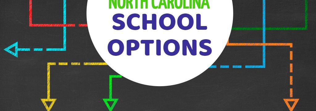 Image of multi-colred arrows going different directions with text that reads "North Carolina School Options for Students with Disabilities"