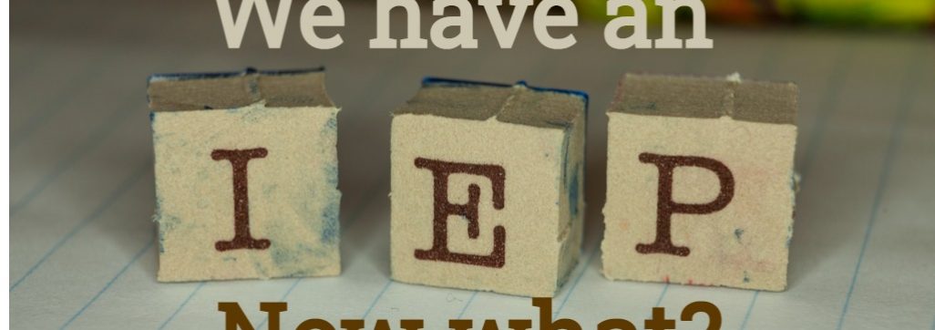 blocks that spell IEP