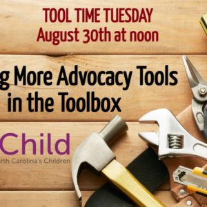 Image of tools in a tool belt with the words Putting More Advocacy Tools in the Toolbox